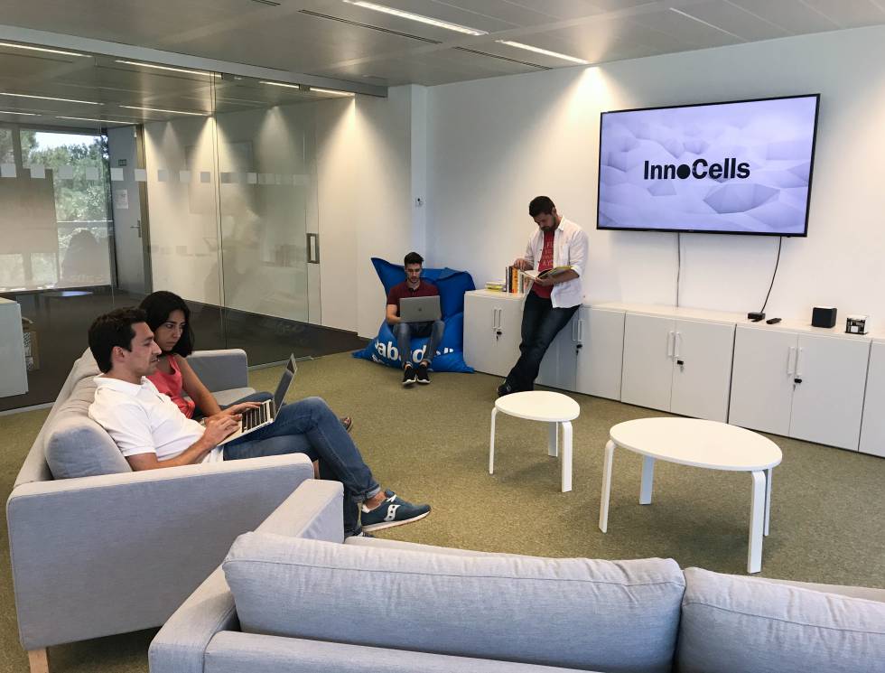 Espacio de Innocells