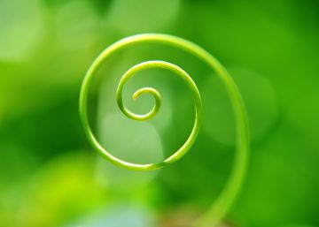 ¿Cómo ponemos en marcha la economía circular?