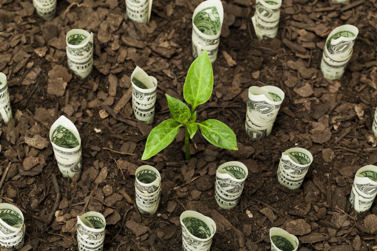 Tres ‘startups’ para ganar dinero invirtiendo de forma sostenible