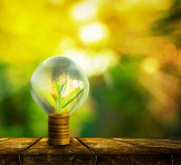 Tres ‘startups’ para ganar dinero invirtiendo de forma sostenible