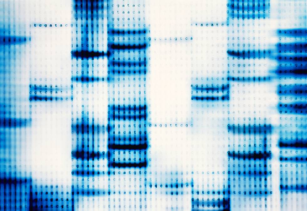 Empresas y profesionales urgen a avanzar en la digitalización de la sanidad