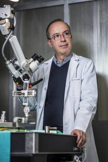 Human Brain Project: un cerebro de ecuaciones
