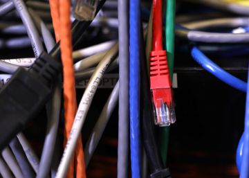 La ‘startup’ que surgió de las profundidades de internet