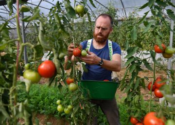Del tomate al ‘big data’
