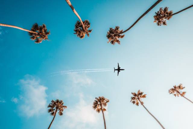 Google y Amazon buscan los datos y los clientes insatisfechos de las aerolíneas