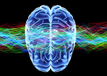 Los dos lados del cerebro para ser más ágiles y competitivos