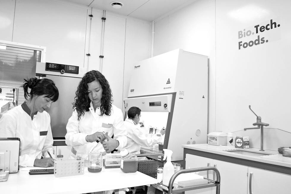 A la izquierda, el laboratorio de la vasca Biotech Foods, una de las empresas españolas que se han embarcado en la producción de carne sintética.