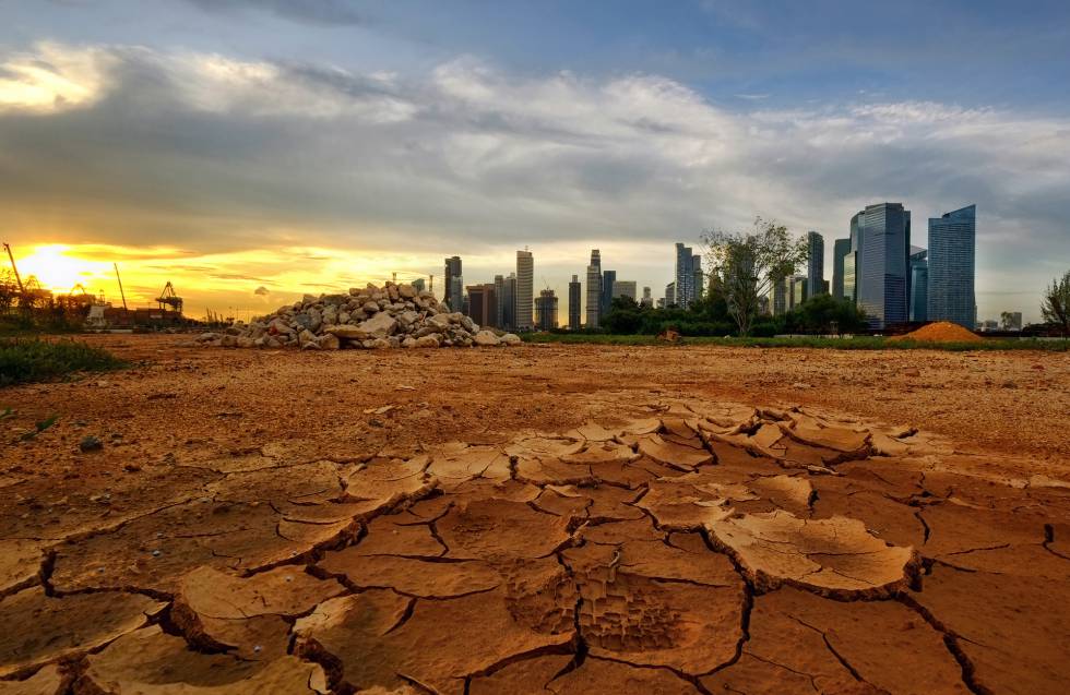 6 Acciones Contra El Cambio Climatico