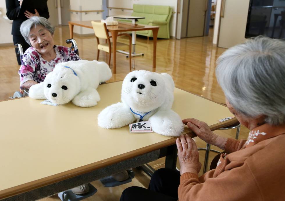 Dos robots Paro, diseñados para el estímulo de pacientes con demencia, alzhéimer y otros trastornos cognitivos en una residencia de mayores de Yokohama (Japón)